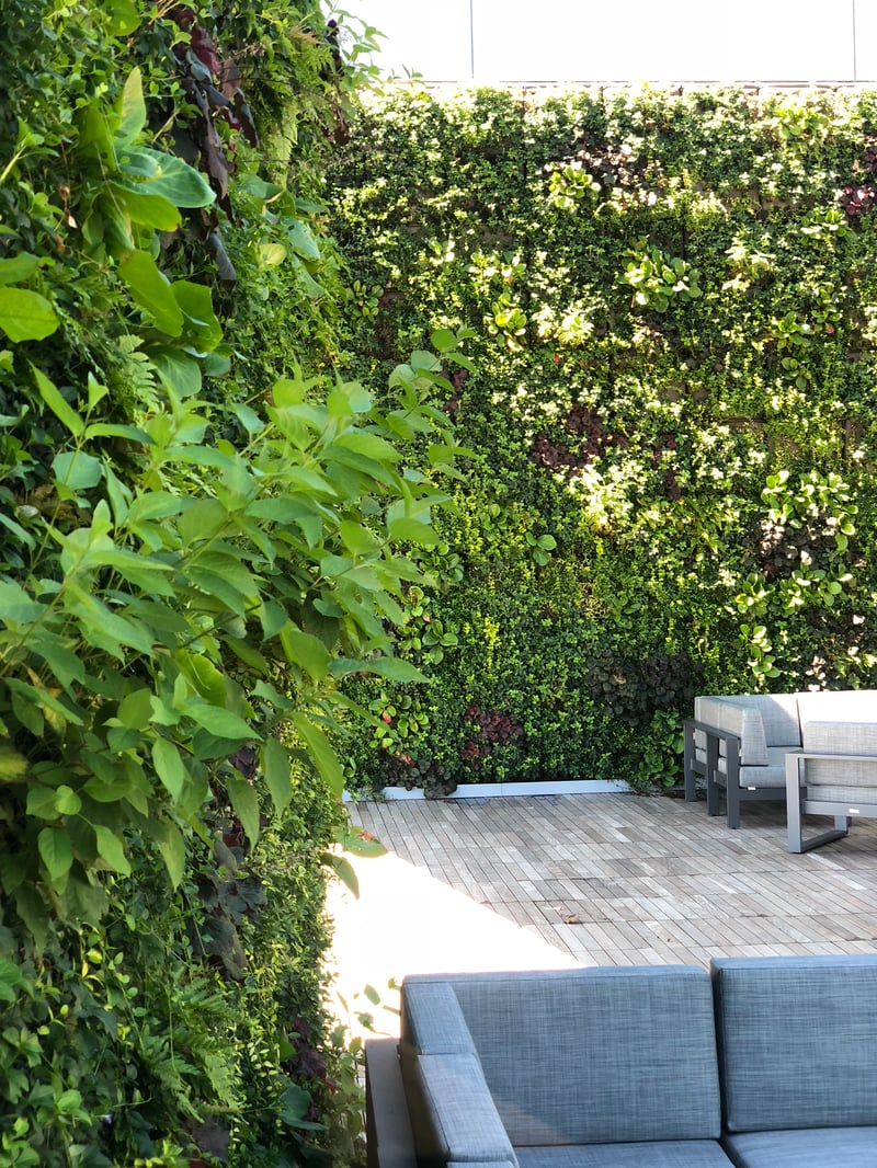 Pier 4 Rooftop Terrace preview 9